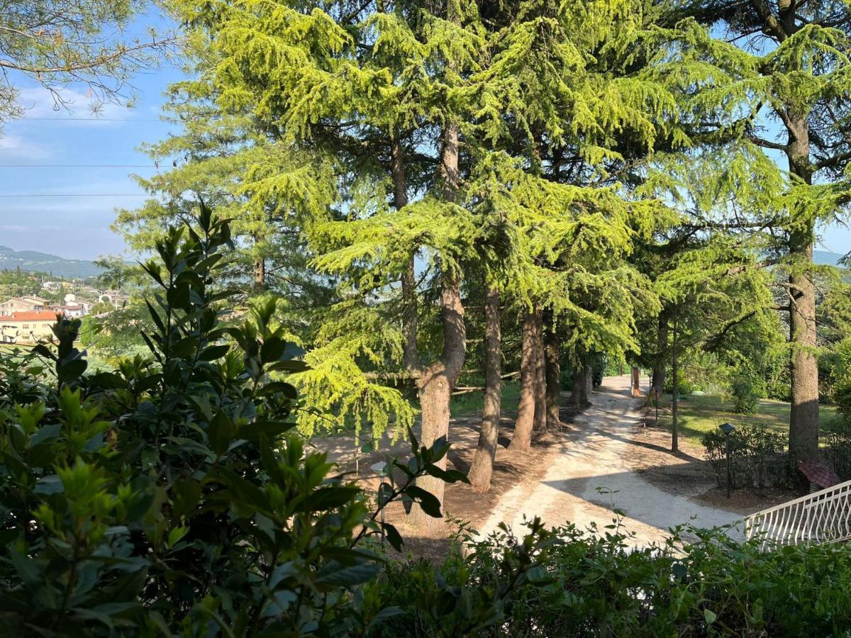 Secret Garden Egle Villa Caprino Veronese Eksteriør billede